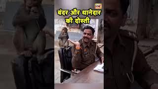 UP के Kanpur में थाना प्रभारी और बन्दर की दोस्ती का Viral Video | Hindi News | N18S #shorts