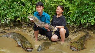 Harvesting fish ponds, Make grilled fish, Bring and share with everyone