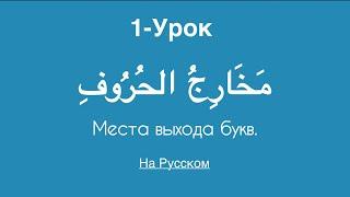 Арабский алфавит • Махрадж аль-Хуруф • Урок-1 // #арабскийалфавит #махраджи #ислам #тажвид