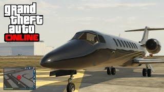 GTA 5 Online - How to Make an NPC Pilot Mad