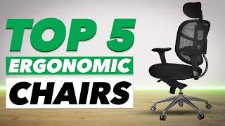 Top 5: Best Ergonomic Chair (Budget)