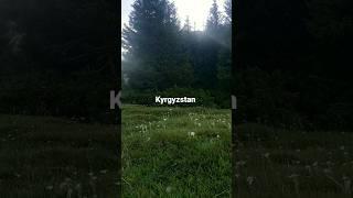 Kyrgyzstan music