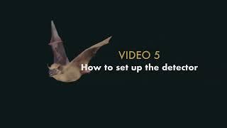 Video 5: Setting up detector