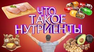 # 3. Что такое нутриенты.