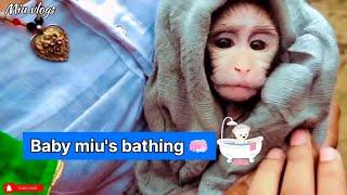 Miu baby bathing  || Miu's masti video || Miu's vlog video || masti of the day ||