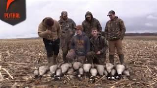 PA late January goose hunt