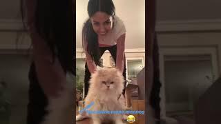 Özlem Yılmaz ve kedi