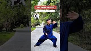 Learn Taijiquan from scratch.#taichi #meridian #exercise #practice#chineseculture#taijiquan #kungfu