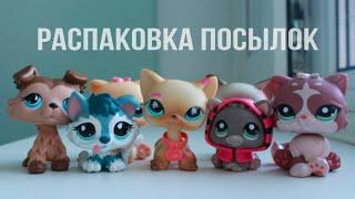 LPS: Распаковка посылок