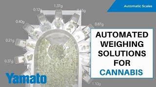 Automated Weighing Solutions for Cannabis