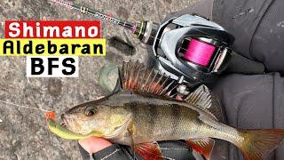 Testing the 2022 Shimano ALDEBARAN BFS - First Impressions and Review