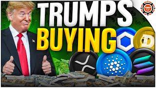 BREAKING: Trump Buying Crypto Exchange (9 Altcoins That Could SOAR!)