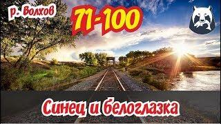 РУССКАЯ РЫБАЛКА 4! ВОЛХОВ 71-100! СИНЕЦ И БЕЛОГЛАЗКА!