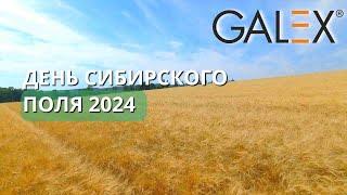 2024 Галэкс и День сибирского поля