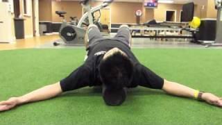 TMI Sports Medicine - Upper Extremity Self Myofascial Release Series