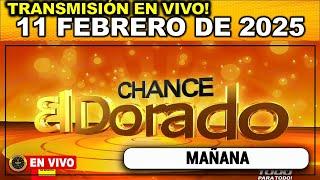 DORADO MAÑANA: Resultado DORADO MAÑANA MARTES 11 de Febrero de 2025.