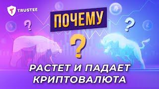 Почему растет или падает Криптовалюта | Рост и Падение Биткоина