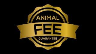 Larsen Properties Animal Fee Guarantee: San Antonio Property Management