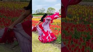 Lost in the sea of Tulips  #tulips #netherlands #amazing #travel
