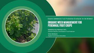 Organic Weed Management: Organic Commercial Fruit Production Strategies for the Midwest