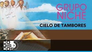 Se Pareció Tanto A Ti, Grupo Niche - Audio