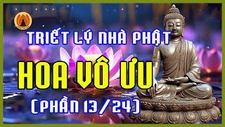 Hoa Vô Ưu (PHẦN 13/24) - Những tuyệt phẩm mang triết lý nhà Phật