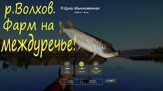 Река Волхов. Фарм на междуречье. рр4