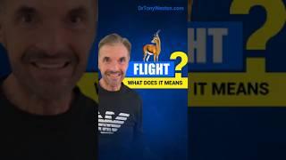 Understanding the Flight Response | Gazelle | I've Been Triggered | Dr Tony Weston