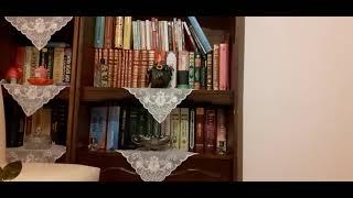 ilahi -Hz Fatima-Yorumlayan:Mehmet Oxaltun