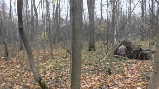 Review Switzerland camouflage Alpentarn in Russian forest [HD]