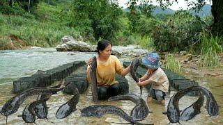 Single mother and baby earn a living by fishing - catching lots of big fish during flood season