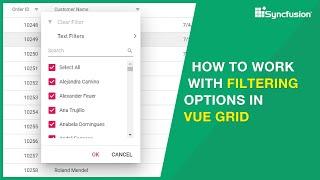 How to work with Filtering Options in Vue DataGrid