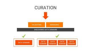 EDC Administrator - Data Domain Curation