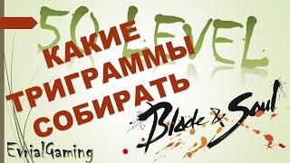 ТОП Сборка ТРИГРАММЫ БАГУА 50й Уровень Blade and Soul Белые Горы