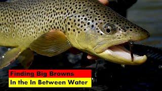 Finding Big Browns In the In Between Water