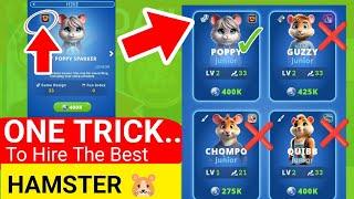 How To Hire The Best Hamster For Fastest Upgrade - Hamster Kombat GameDev Heroes Season 2 Guide