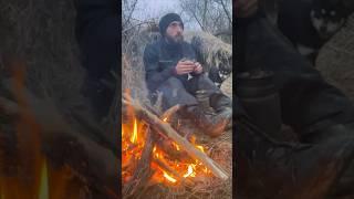 how to quickly boil water outdoors to boil water in nature #survival #bushcraft #camping #dog #
