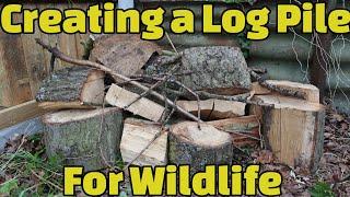 Creating a Log Pile for Wildlife - The Wildlife Garden Project