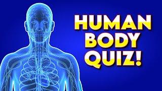 Can You Pass This Human Body Quiz?  General Knowledge Trivia Quiz