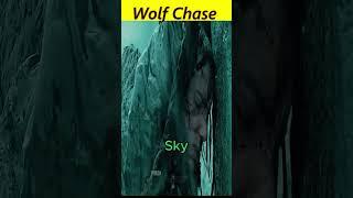 Wolf Chase #viral #amazing #factsshorts #shorts #facts #movie #viralmovie #movierecap