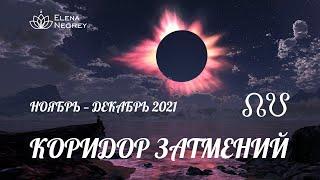 КОРИДОР ЗАТМЕНИЙ Ноябрь - Декабрь 2021 | Аспекты затмений