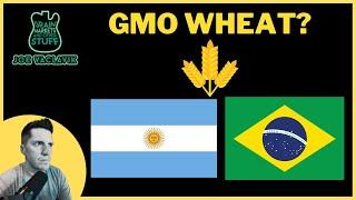 Will GMO Wheat Disrupt Global Exports?