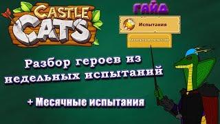 Castle Cats | Недельные и Месячные испытания | Что выполнять?