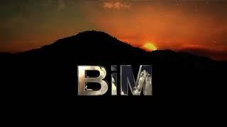 BiM Distribuzione Logo (2009)