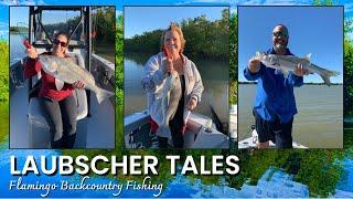 Fishing Flamingo Everglades - Black Drum, Redfish & Snook Inshore Fishing on a Pathfinder 2700