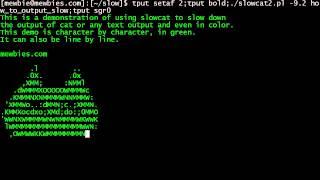 Linux Terminal Output Text Slowly Using Slowcat Demonstration