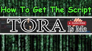[old] HOW TO GET THE SCRIPT - Tora IsMe (Website)