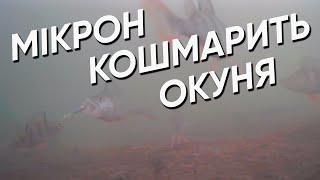 МІКРОН кошмарить ОКУНЯ.ПІДВОДНА КАМЕРА РУЛИТЬ. ПІСЛЯ перегляду відео ВИ ТОЧНО ЗАХОЧЕТЕ НА РИБАЛКУ