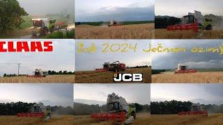 Žně 2024 // Ječmen ozimý, Claas Lexion 6700 year 2023,6600, John Deere 6175m, JCB Fastrac 4220