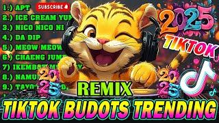 TRENDING TIKTOK REMIX DANCE PARTY 2025 - BEST OF TIKTOK BUDOTS DANCE REMIX 2024 - DISCO REMIX 2024